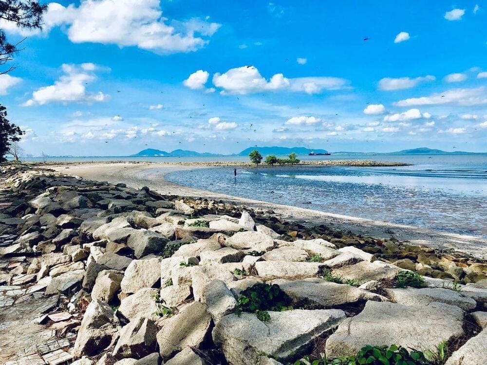 Tận hưởng không khí trong lành, khám phá rừng ngập mặn và ghé thăm Đảo Khỉ đầy thú vị.